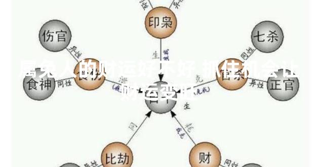 属兔人的财运好不好 抓住机会让财运变旺